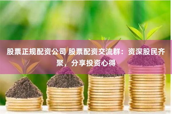 股票正规配资公司 股票配资交流群：资深股民齐聚，分享投资心得