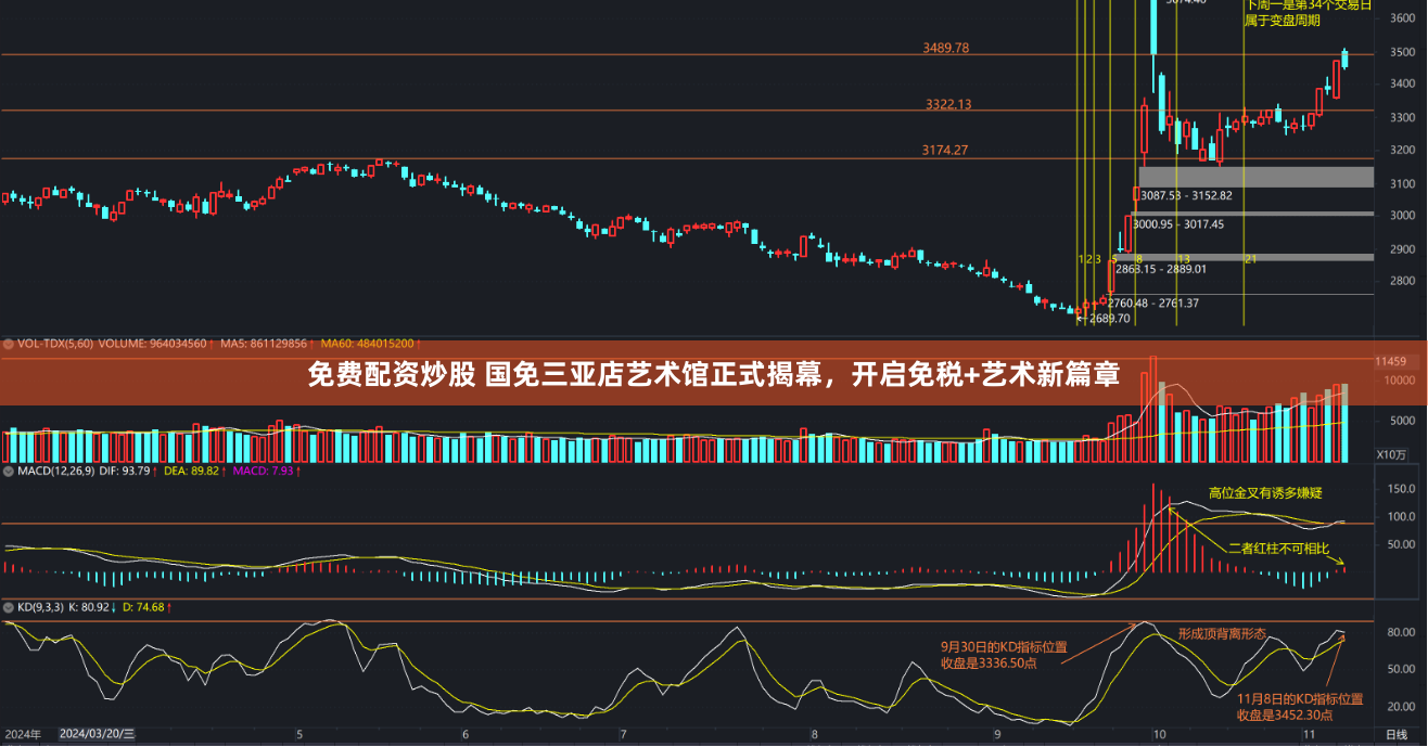 免费配资炒股 国免三亚店艺术馆正式揭幕，开启免税+艺术新篇章
