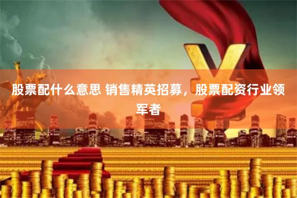 股票配什么意思 销售精英招募，股票配资行业领军者