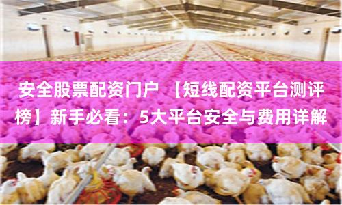安全股票配资门户 【短线配资平台测评榜】新手必看:5大平台安全与费用详解