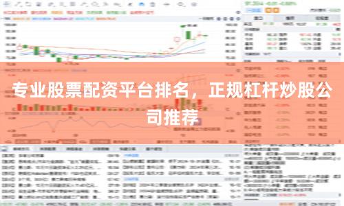 专业股票配资平台排名,正规杠杆炒股公司推荐