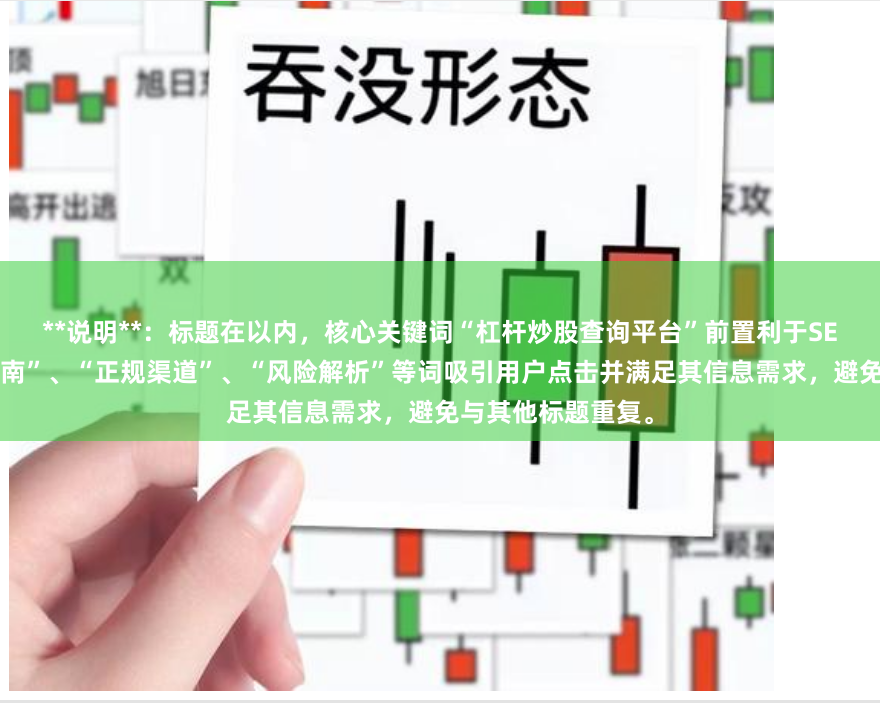 **说明**：标题在以内，核心关键词“杠杆炒股查询平台”前置利于SEO，同时使用“指南”、“正规渠道”、“风险解析”等词吸引用户点击并满足其信息需求，避免与其他标题重复。