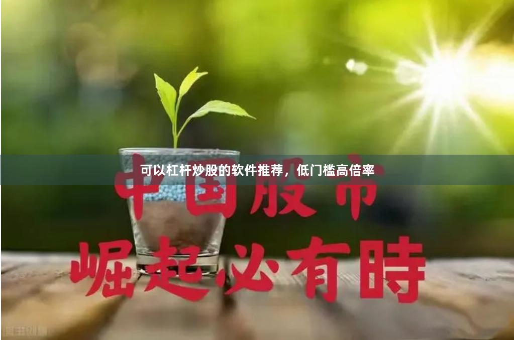 可以杠杆炒股的软件推荐，低门槛高倍率