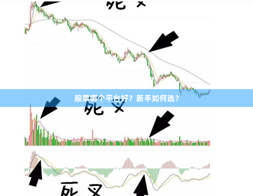 股票哪个平台好？新手如何选？